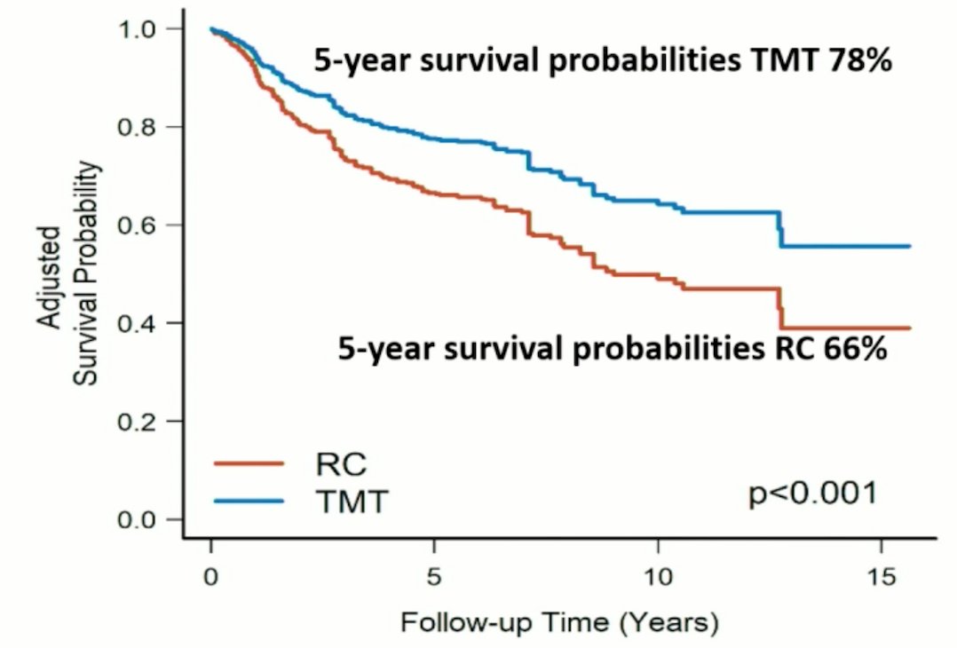 trimodal therapy adjusted survival probability