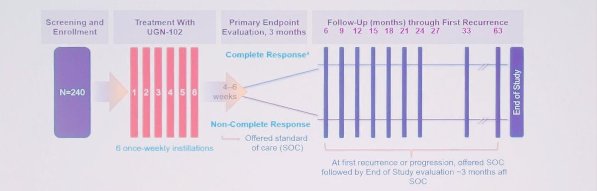 ENVISION trial primary chemoablation flow