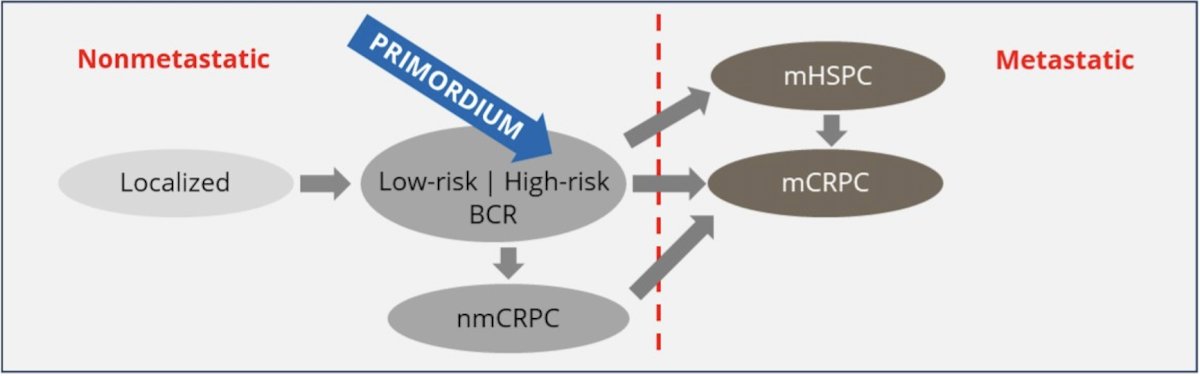 PRIMORDIUM location in the prostate cancer pathway