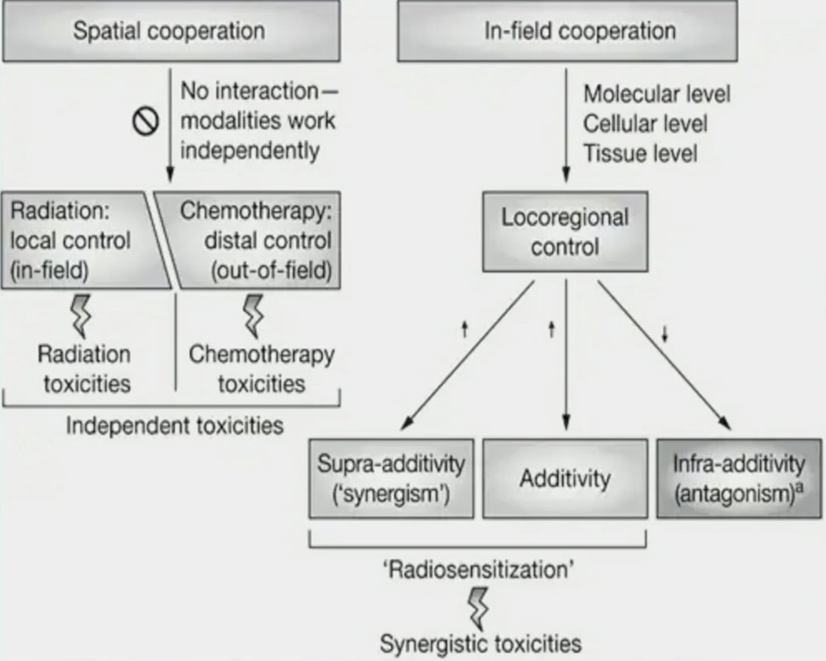image-0.jpg