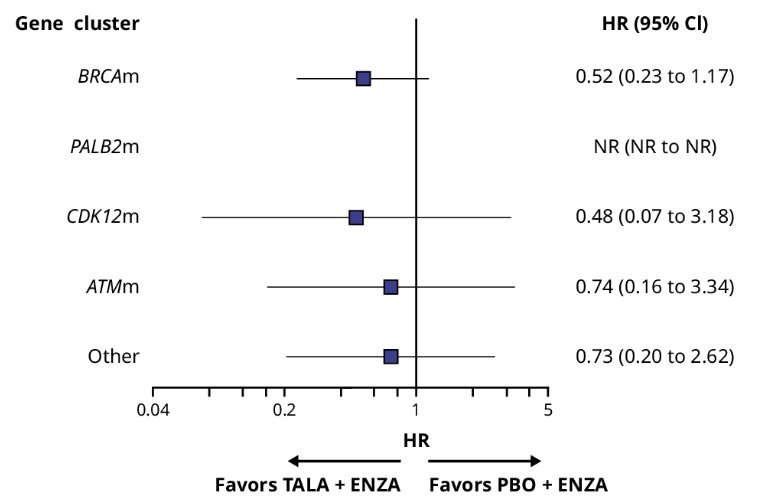 Time to deterioration in worse pain favored the talazoparib + enzalutamide arm