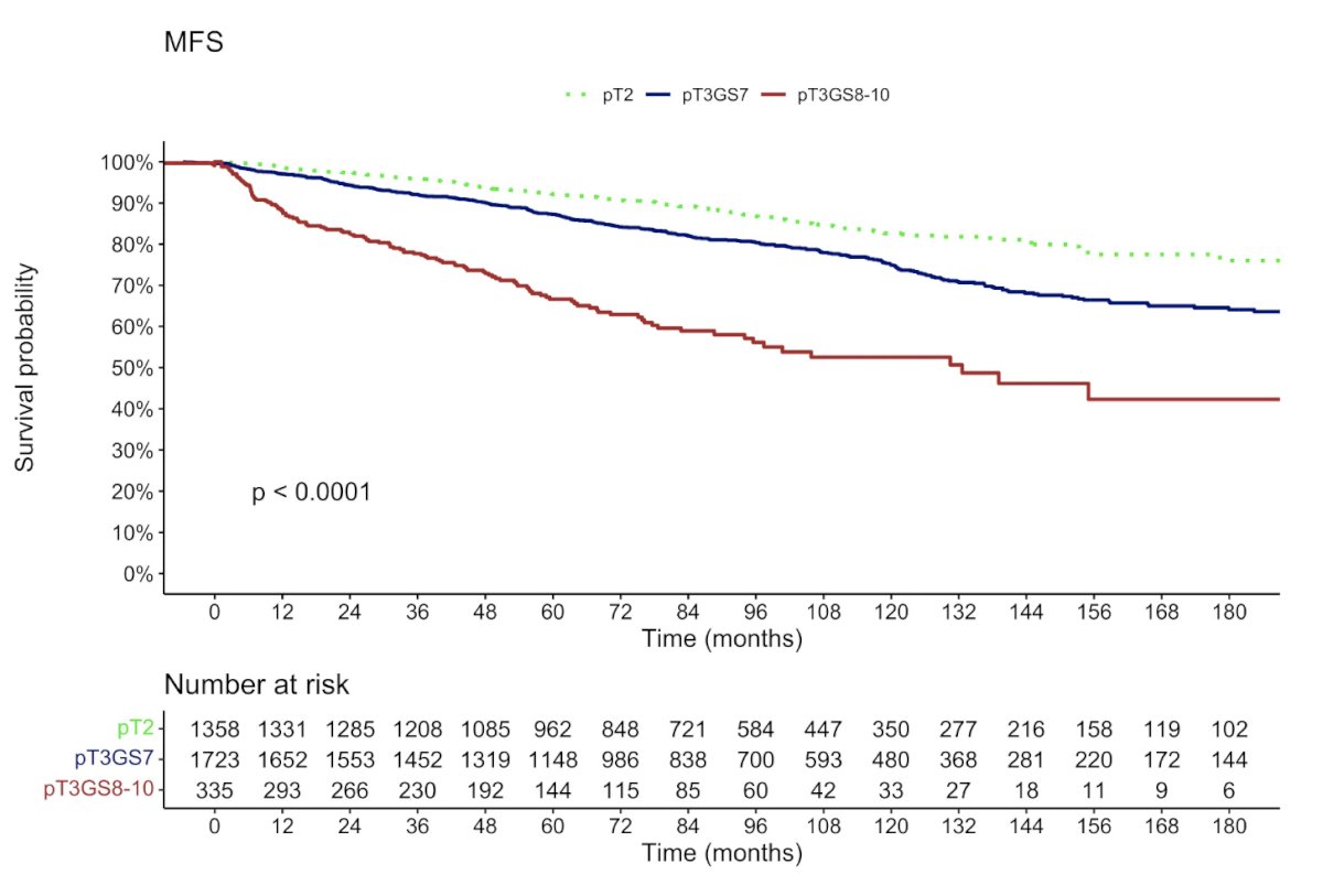 survival probability