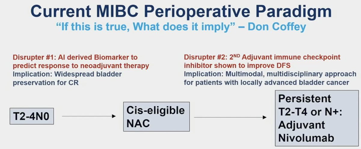 current mibc perioperative paradigm