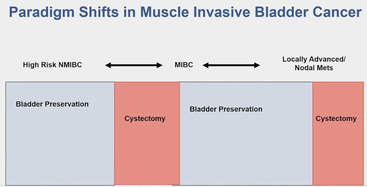 paradigm shifts in MIBC