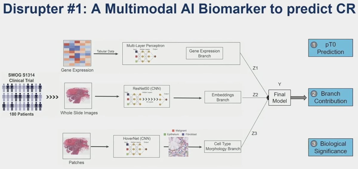 nivolumab + gemcitabine/cisplatin disrupter