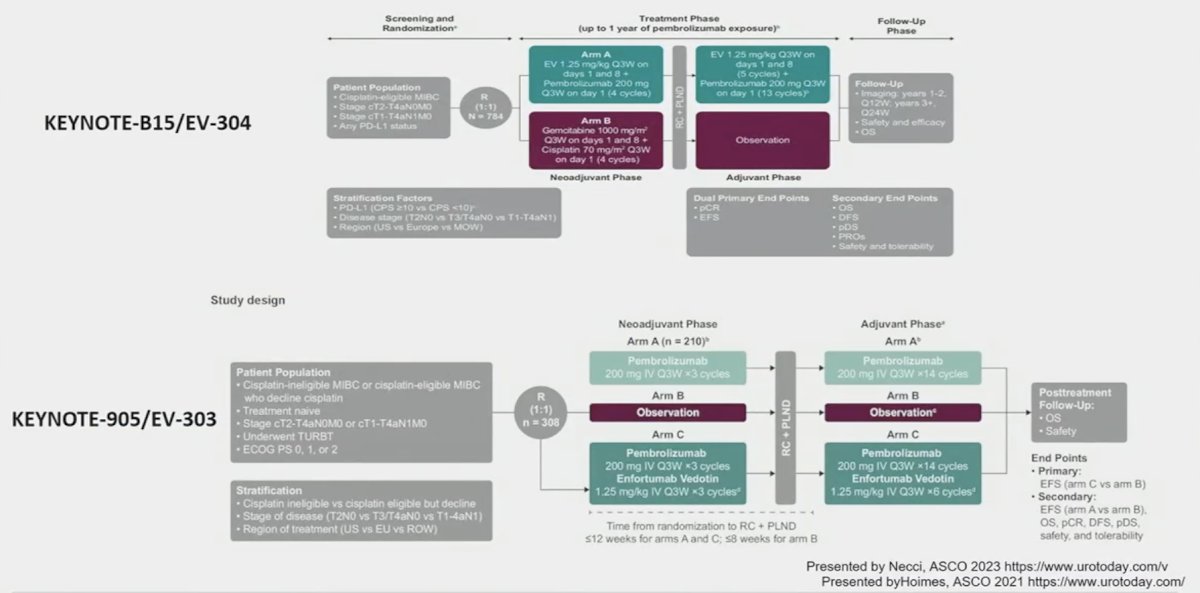 KEYNOTE studies comparison