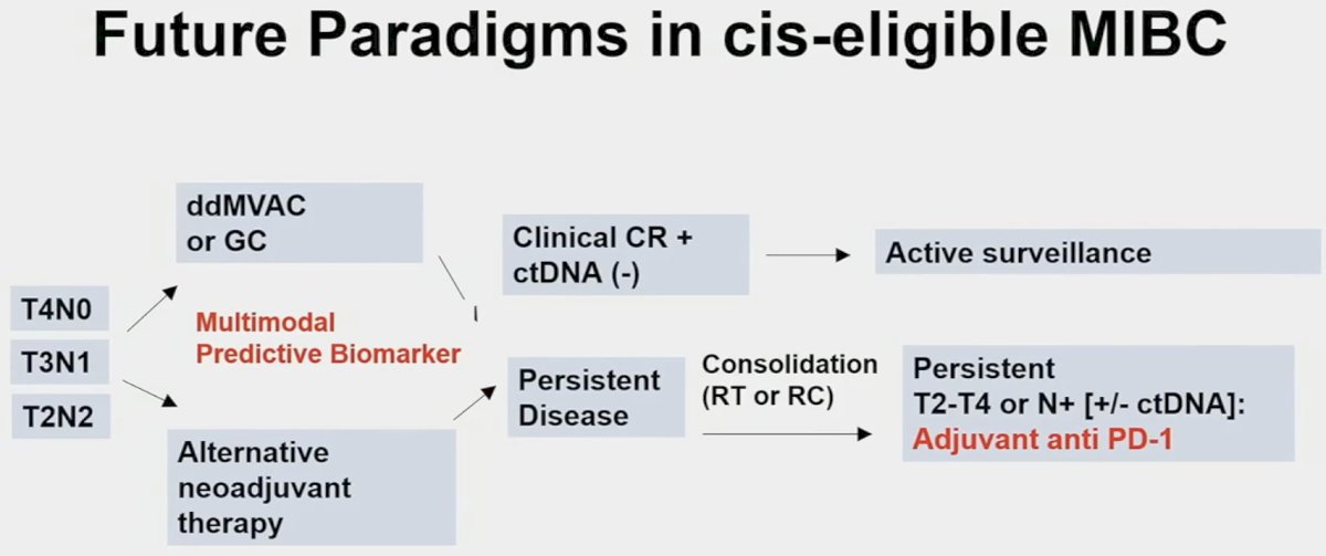 future paradigms of cis eligible MIBC