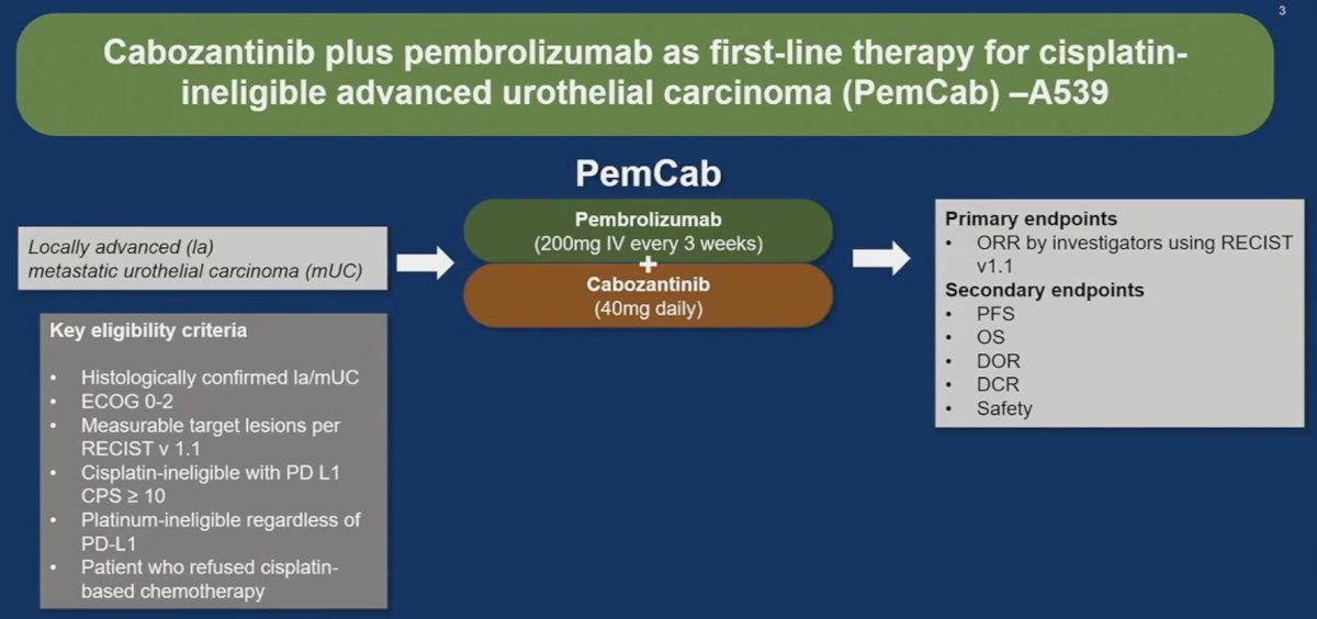 PemCab study