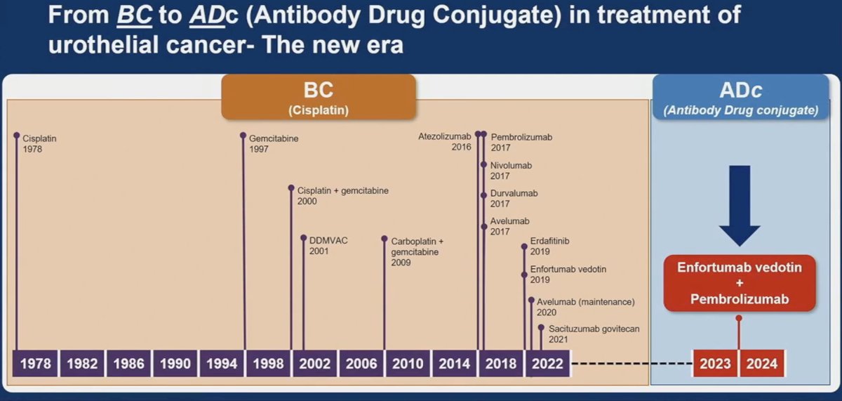 antibody drug conjugate