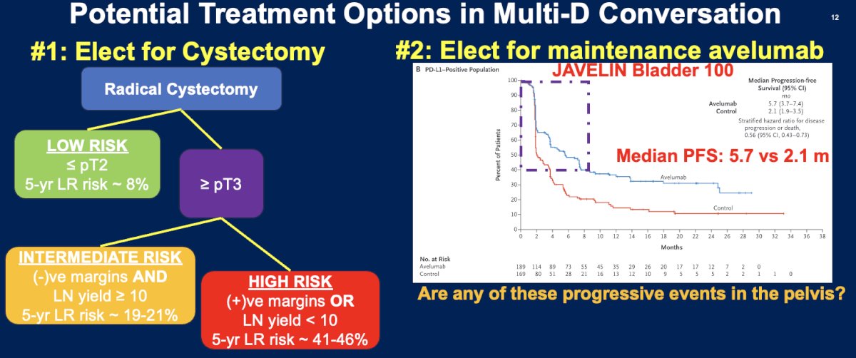 JAVELIN Bladder 100 trial demonstrated that despite survival improvements with avelumab