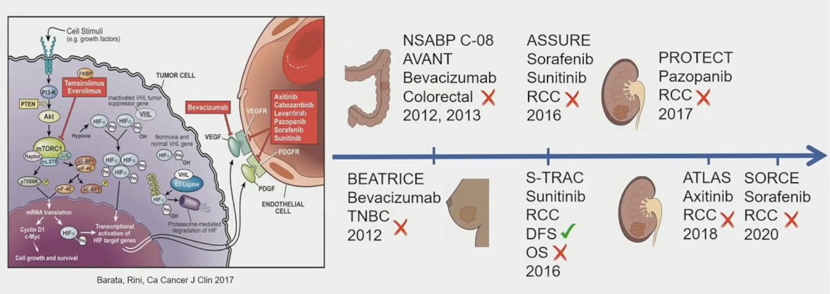 adjuvant anti-angiogenic therapies across solid tumors have historically struggled