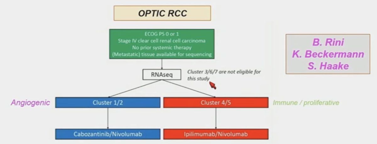 OPTIC RCC prospective trial