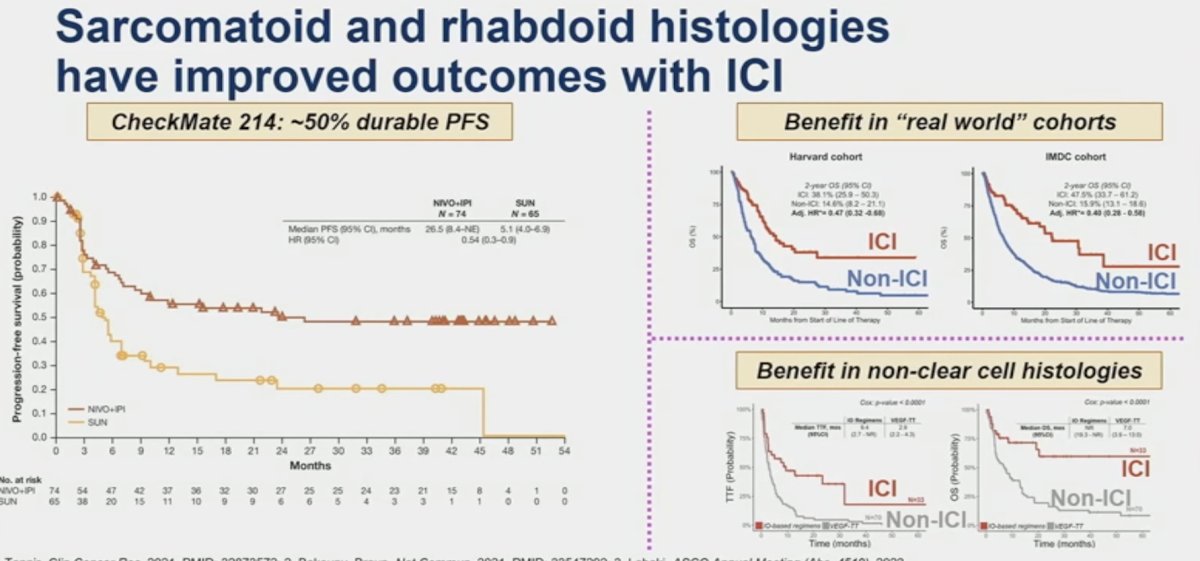 sarcomatoid and rhabdoid histologies