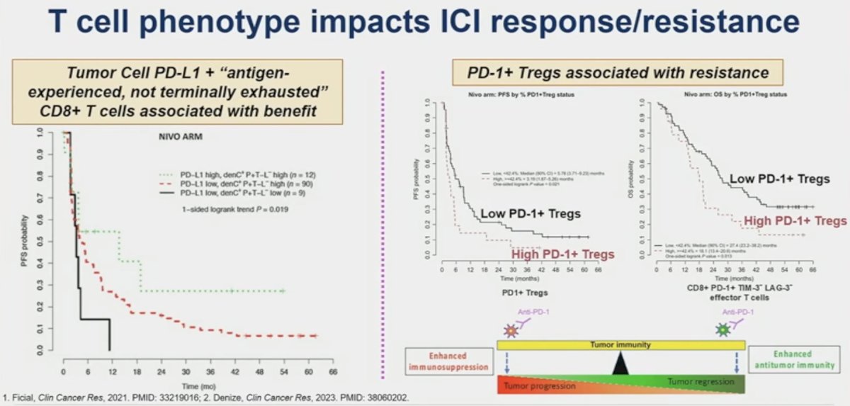tumors enriched with PD-1+ T-regulatory cells 