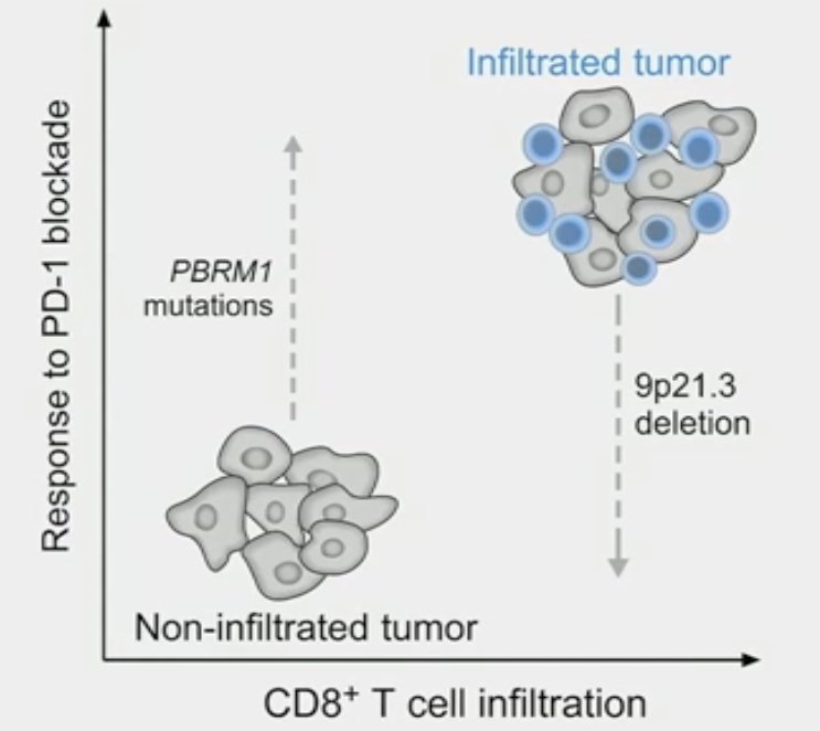PBRM1 mutations