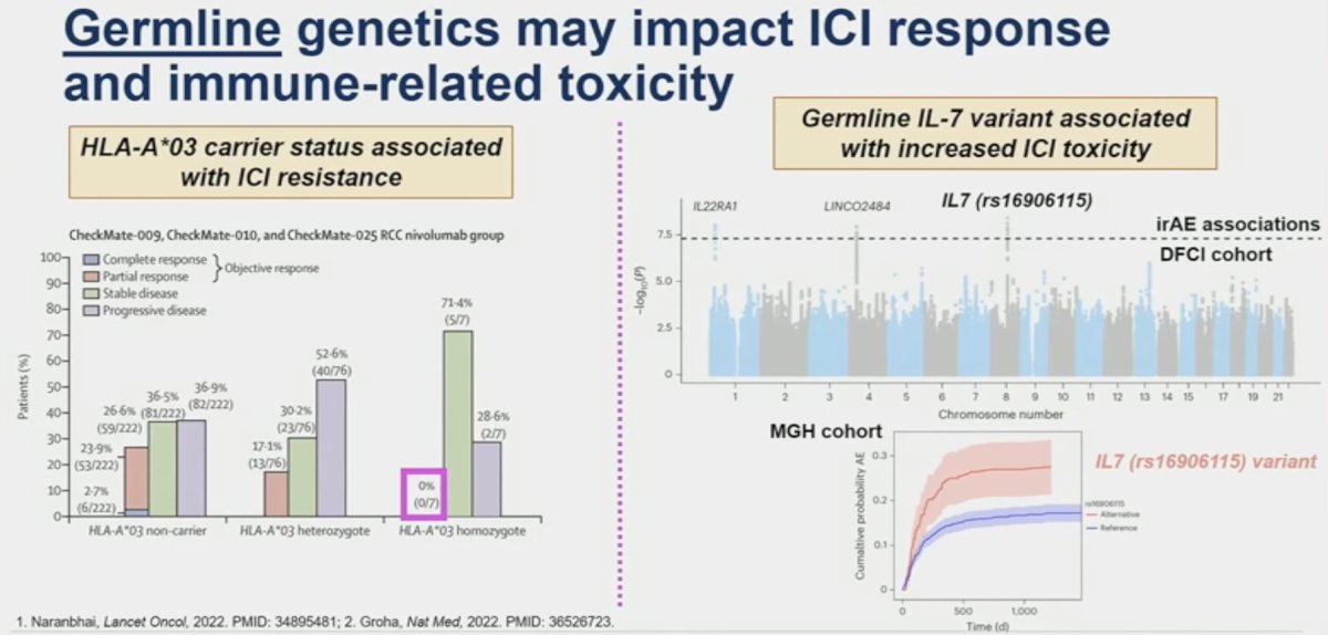 Germline genetics may impact ICI response and immune-related toxicity