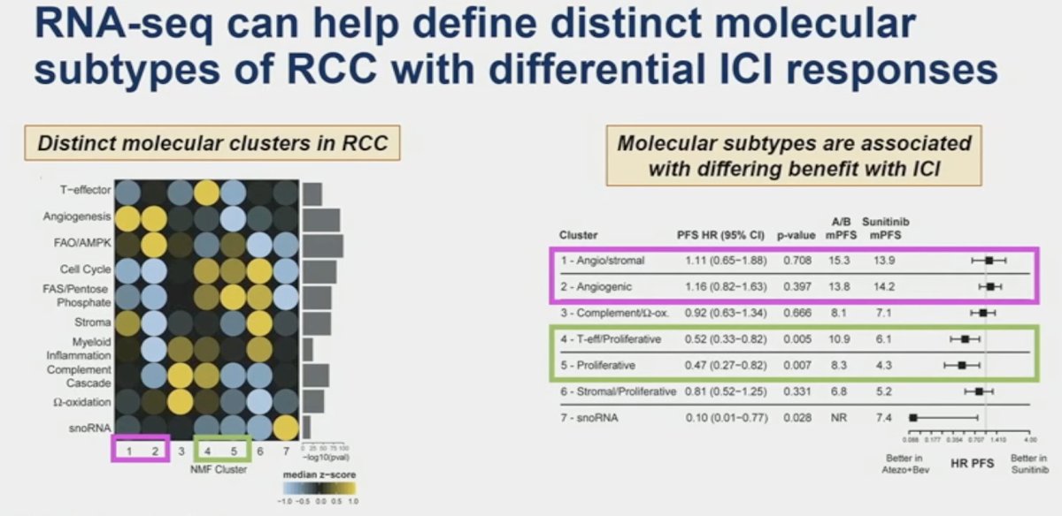 RNA seq can help define distinct molecular substypes of RCC with differential ici