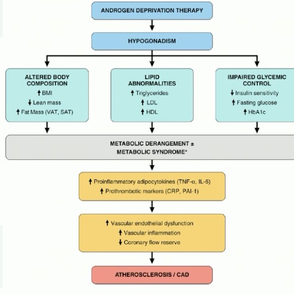 risk of cardiovascular disease appears to be further increased in prostate cancer patients receiving ADT