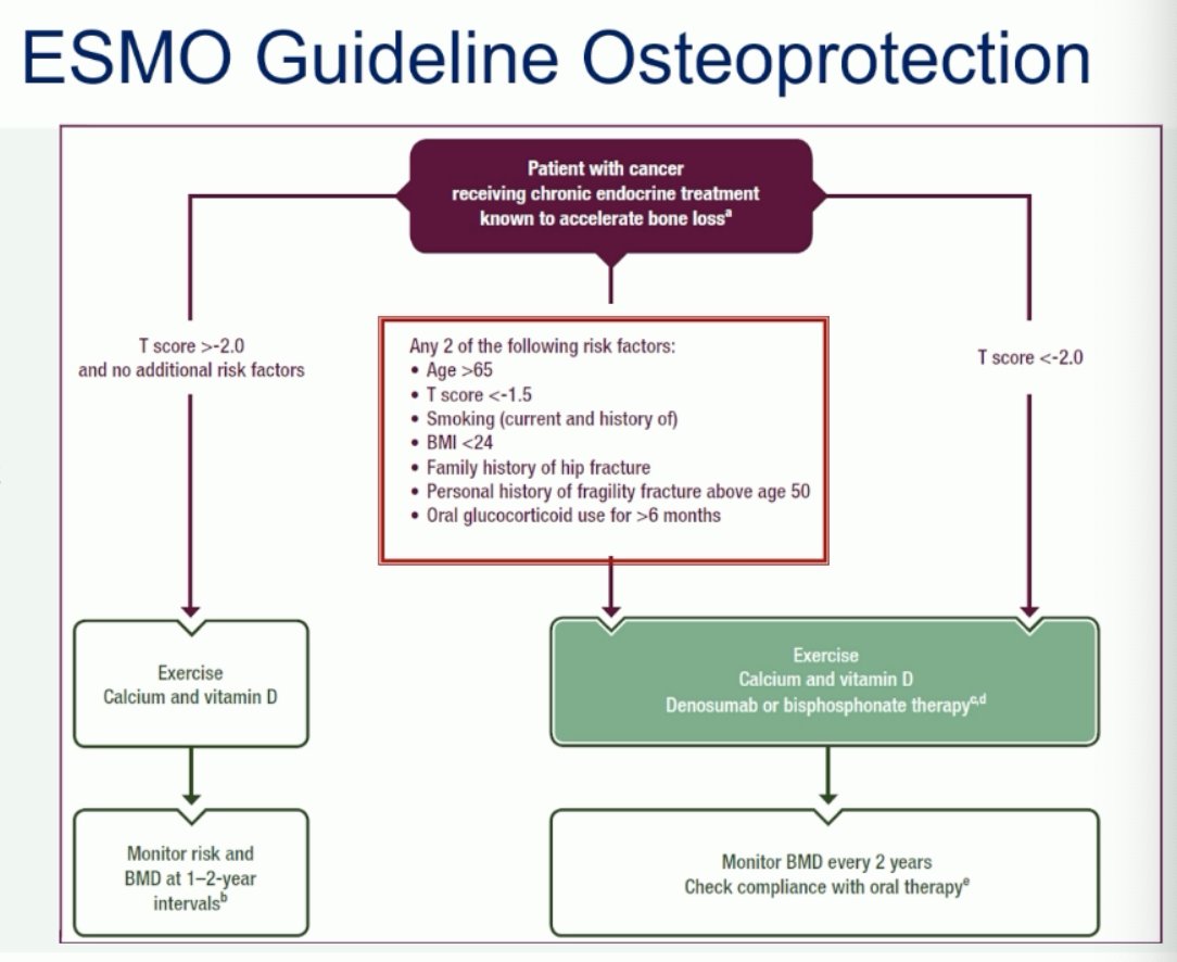 esmo guideline osteoprotection