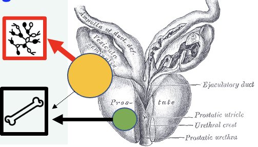 image-6.jpg