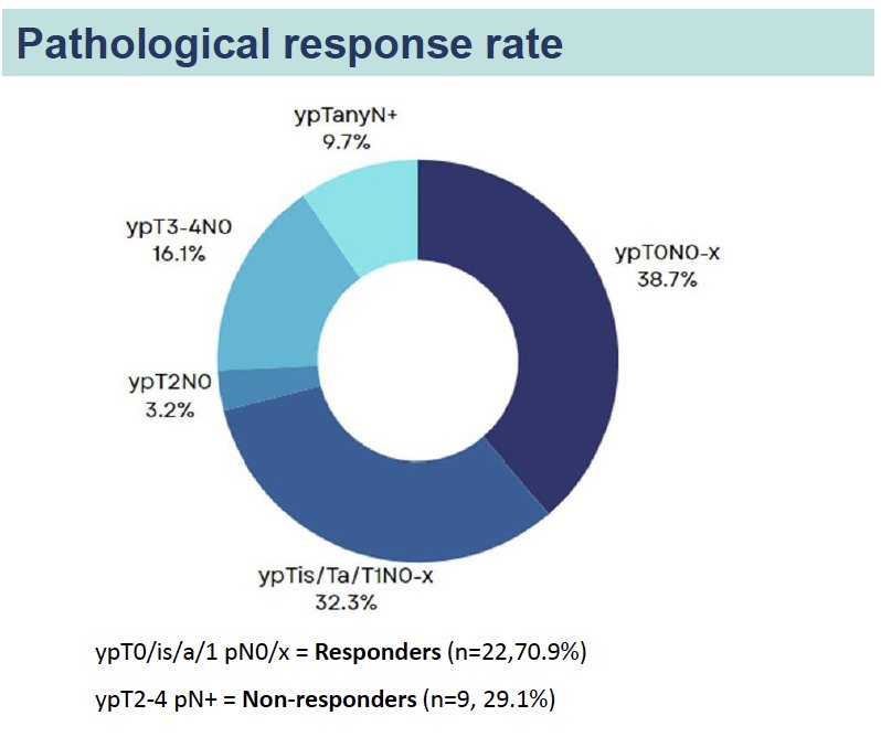 PEANUT study pathological response rate
