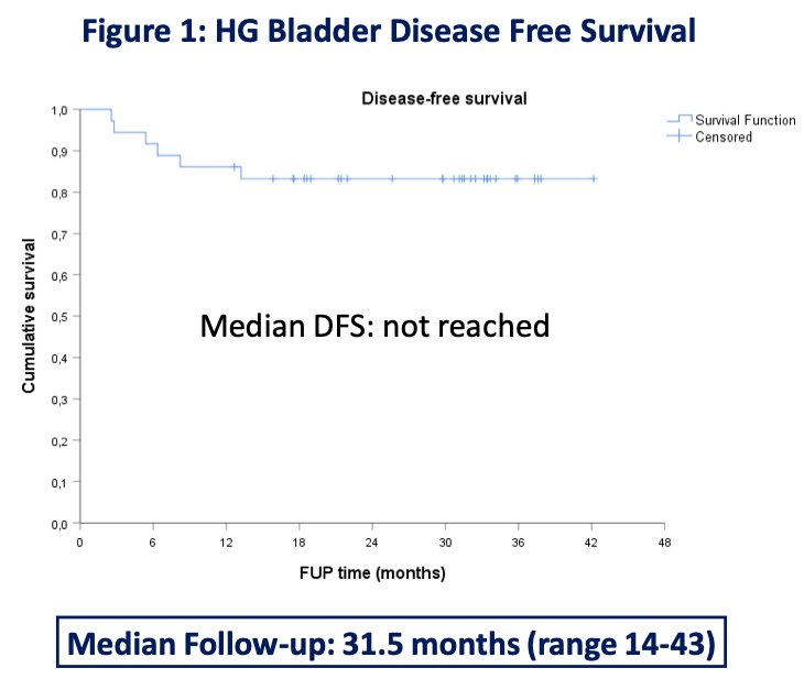 HG Bladder disease free survival