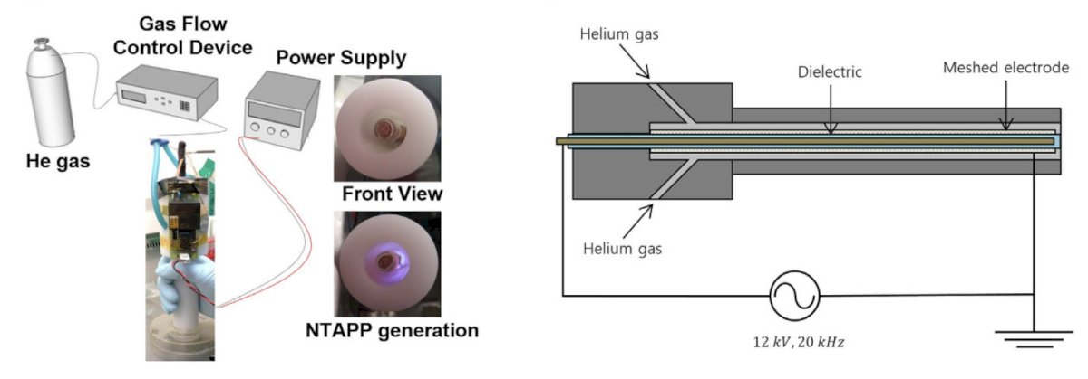 Transurethral ablation with non-thermal atmospheric plasma