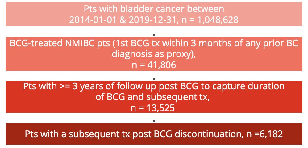 analysis was conducted to evaluate BCG treatment patterns and characterize subsequent therapy post BCG population