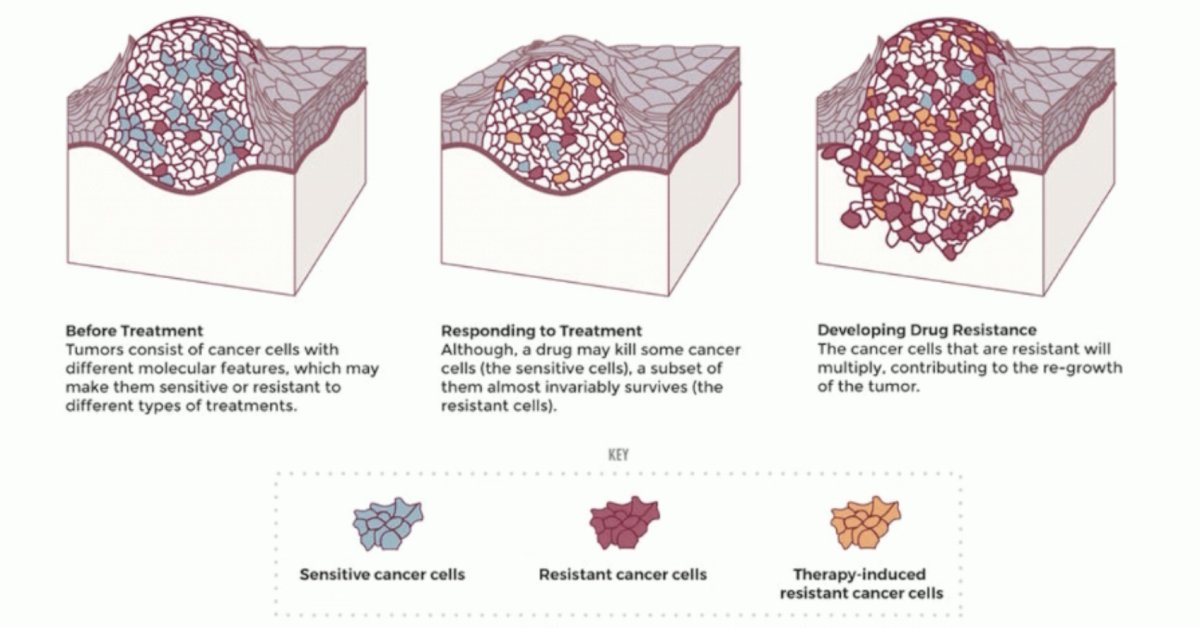 multidrug approach addresses tumor heterogeneity and reduces the risk of clonal resistance