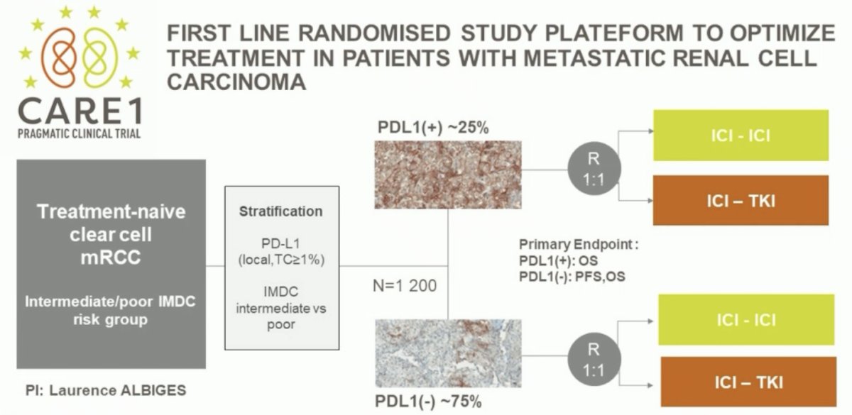 first line randomized study platform to optimize treatment in patients with metastatic RCC based on PDL1 expression