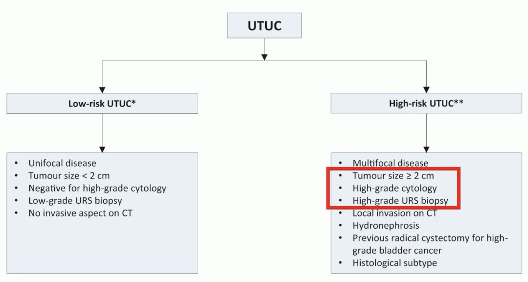 Professor Stenzl argued in favor of radical nephroureterectomy