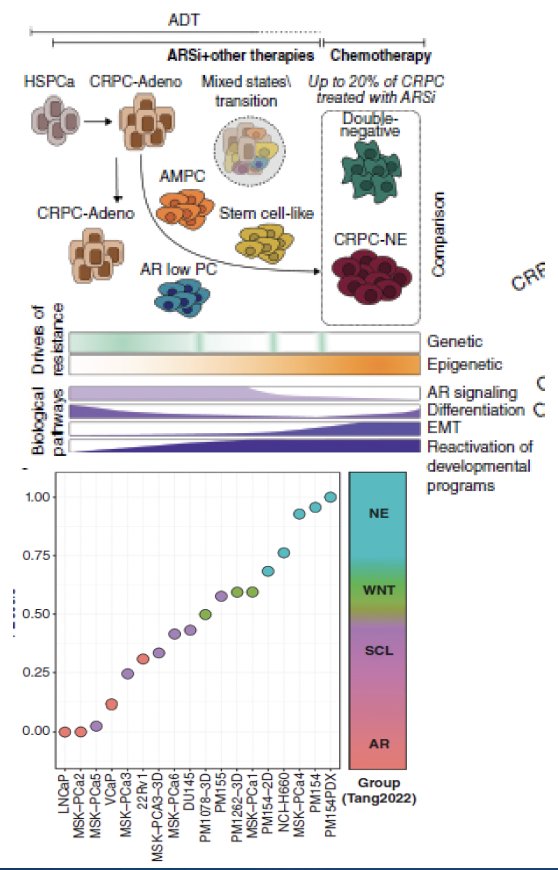 aggressive variant prostate cancer clinical criteria do not always align with genomics or histology