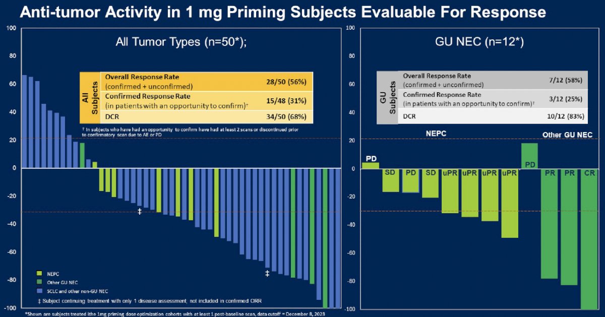 anti tumor activity