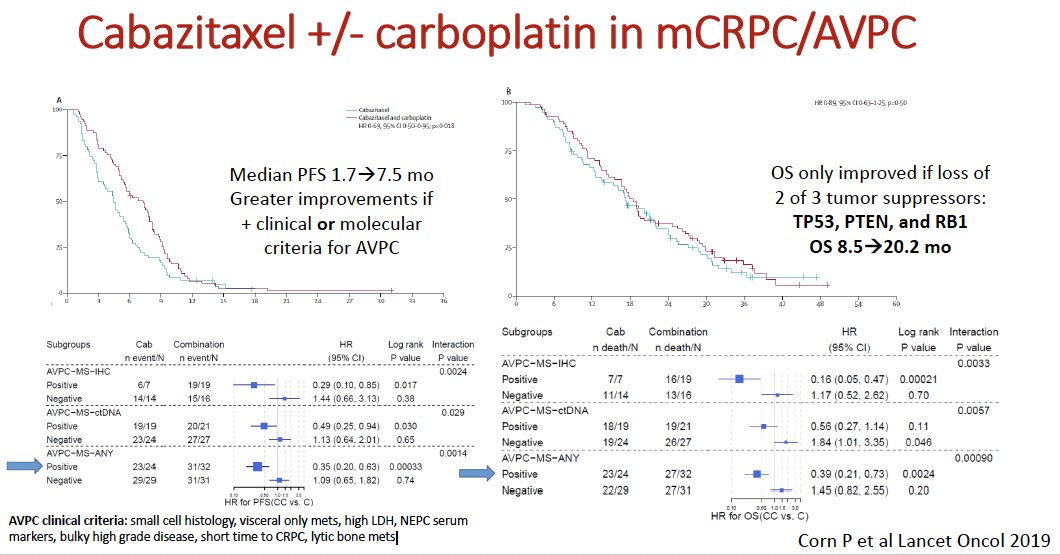 cabazitaxel 25 mg/m2 +/- carboplatin AUC 4 mg/mL/min