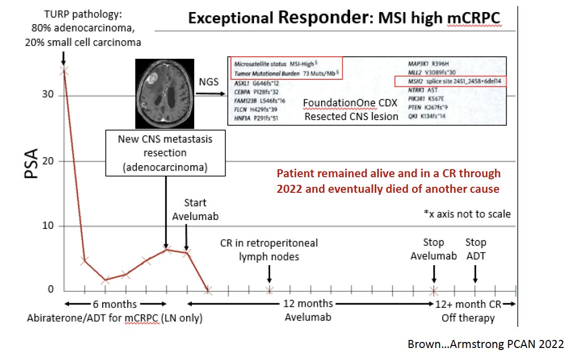 exceptional responder to avelumab in the setting of MSI high mCRPC