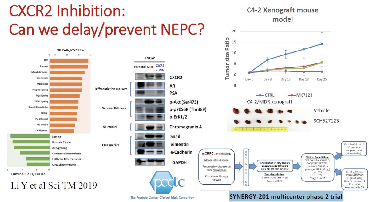 CXCR2 inhibition