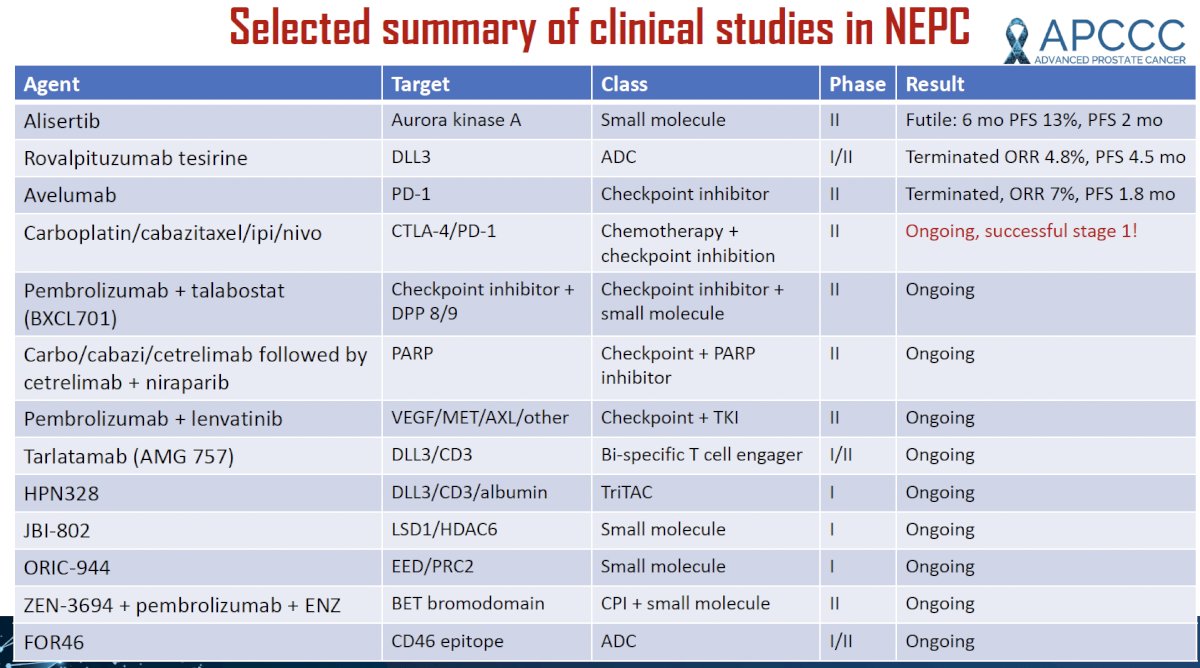 ongoing clinical trials in the neuroendocrine prostate cancer disease space