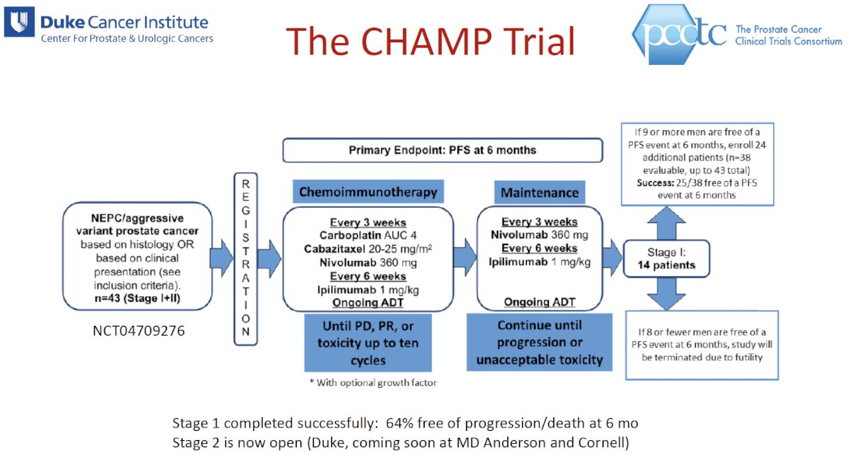 CHAMP trial
