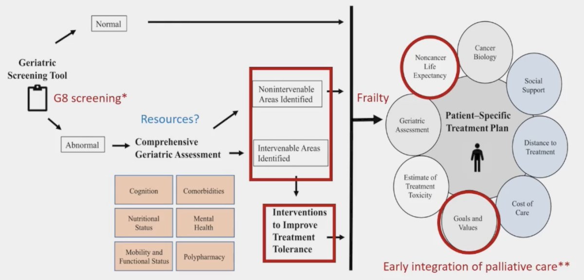 G8 screening and a comprehensive geriatric assessment