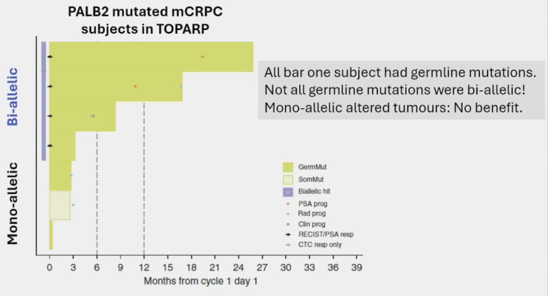 PALB2 deleterious mutations