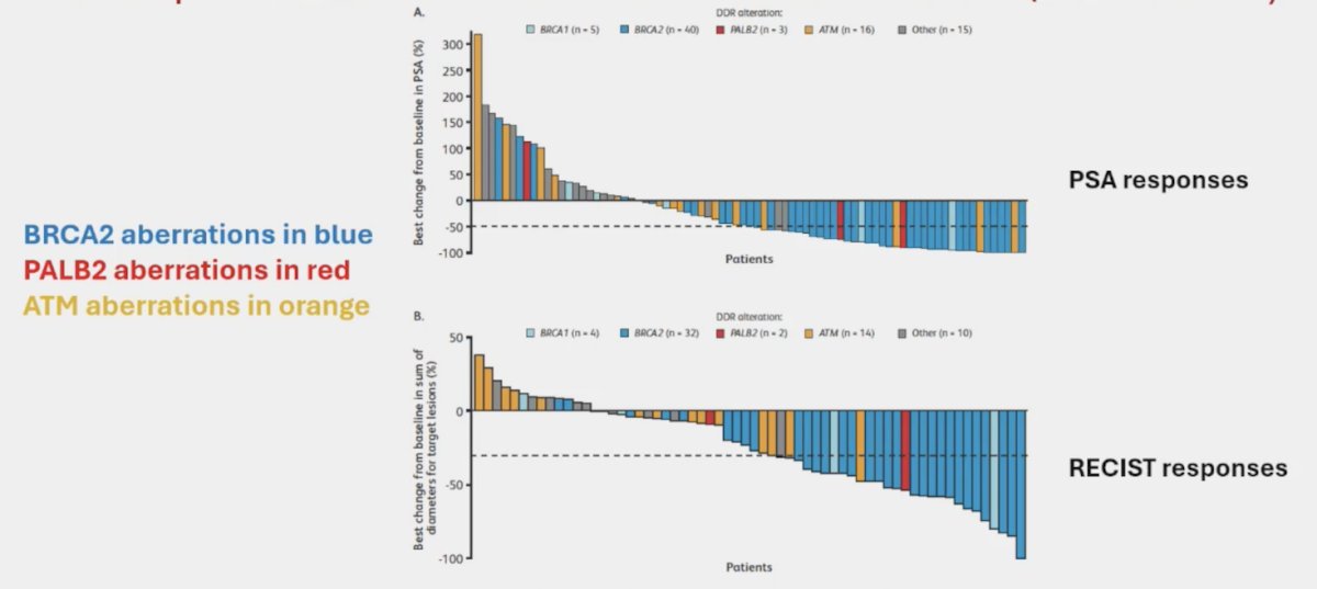 responses to talazoparib