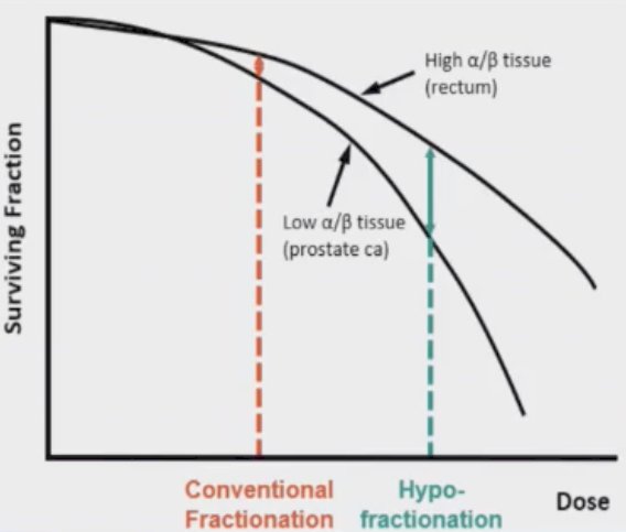 Prostate cancer cells have low alpha/beta ratios