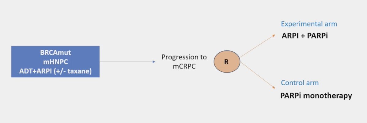 PARP inhibitor monotherapy is approved post-ARPI in BRCA-mutated mCRPC