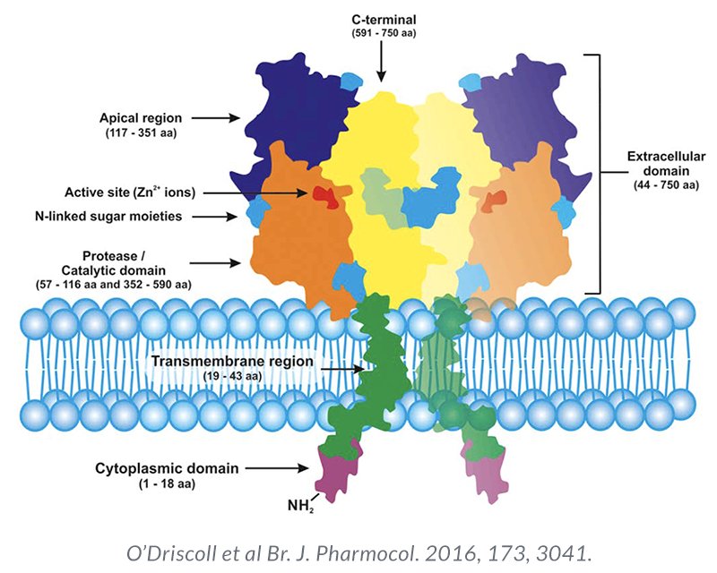 PSMA-PET/CT demonstrates superior performance characteristics in the biochemically recurrent setting