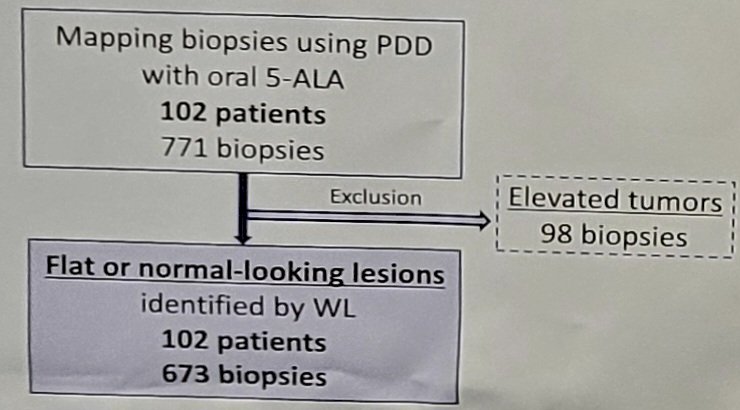 mapping biopsies using photodynamic diagnosis design
