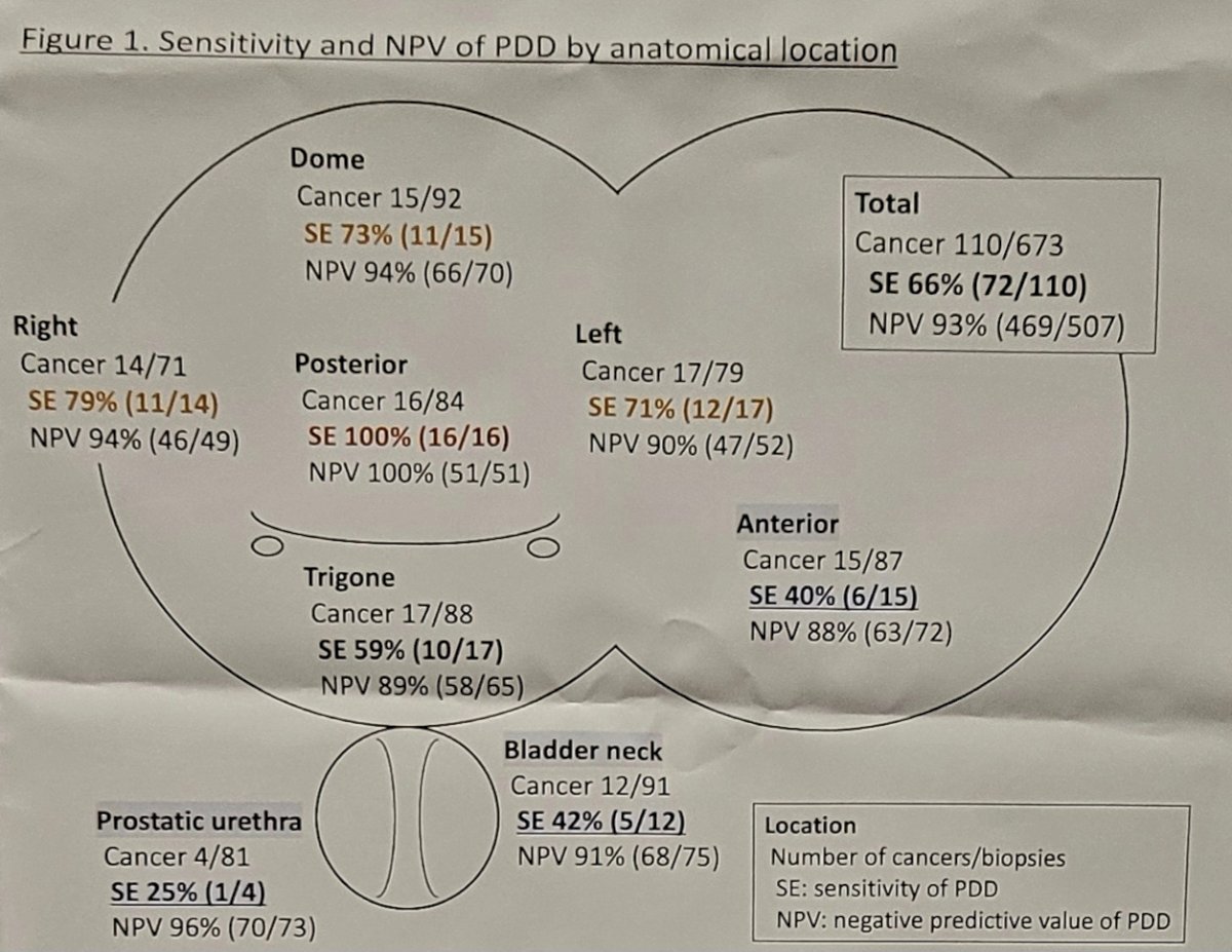 sensitivity and NPV of photodynamic diagnosis by anatomical location