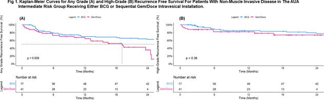 study comparing BCG to gemcitabine + docetaxel in intermediate-risk, non-muscle invasive bladder cancer (NMIBC) with mostly high-grade Ta disease high grade recurrence free survival rates