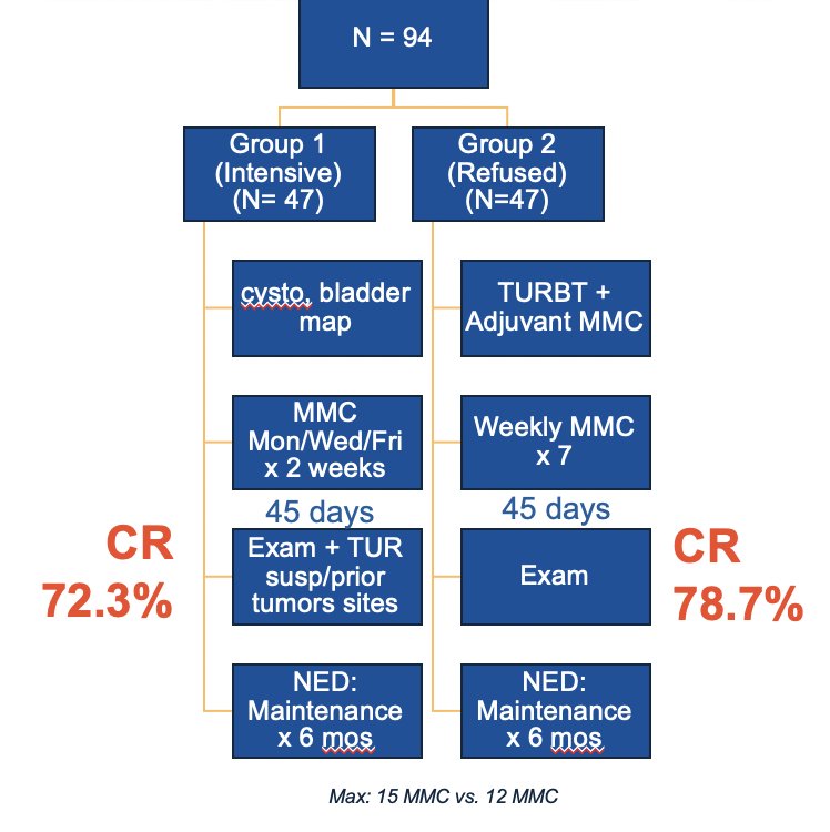 similar complete response rates between the two study groups