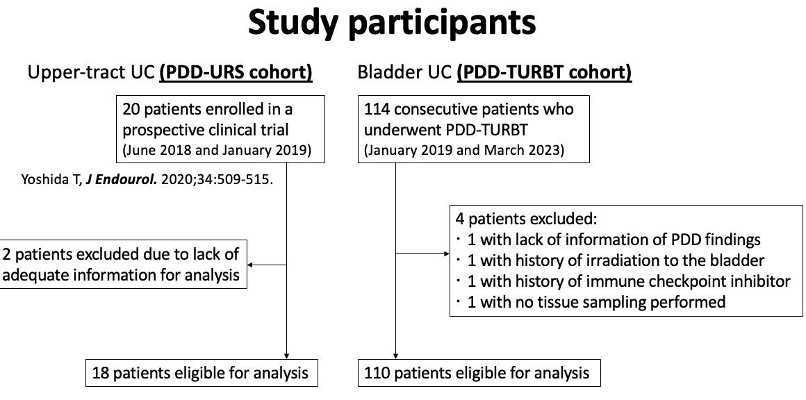 study participants of retrospective analysis evaluating the diagnostic performance of photodynamic diagnosis with oral 5-aminolevulinic acid (ALA) for bladder and upper tract urothelial carcinoma