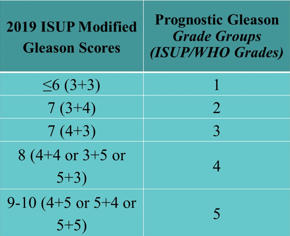 Dr. Cheng notes that the 2019 ISUP modified Gleason Scores were recently developed into prognostic Gleason Grade Groups (ISUP/WHO Grades)